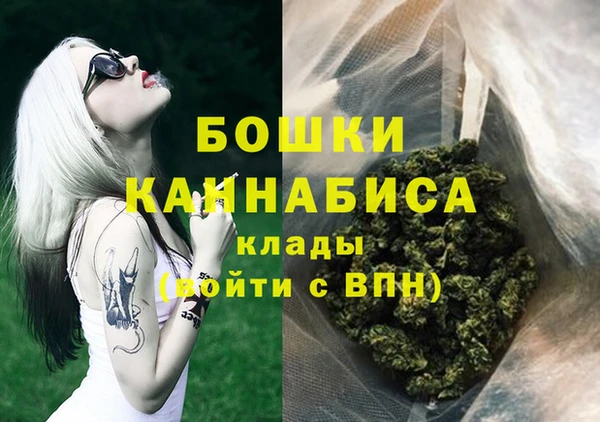 стаф Костерёво