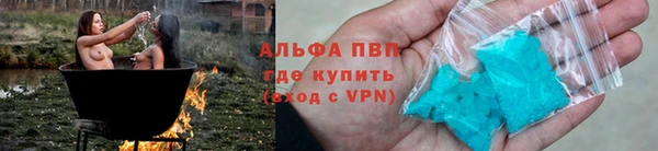 стаф Коряжма