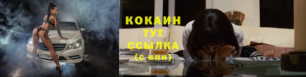 стаф Коряжма