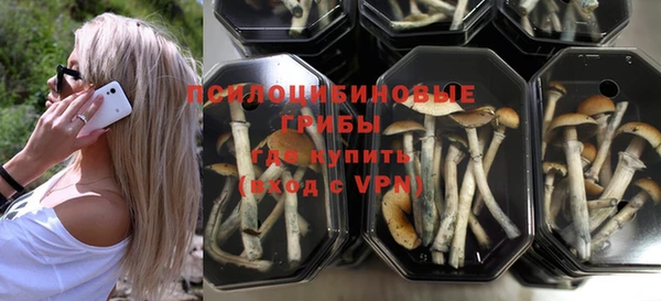 мет Корсаков