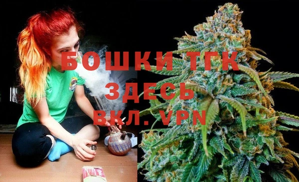 стаф Коряжма